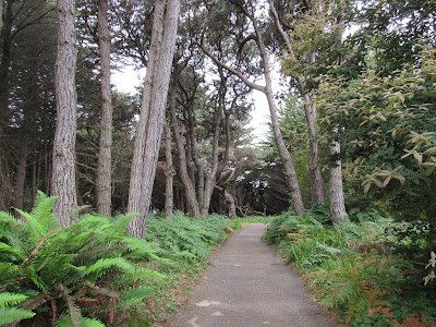 Fort Bragg California