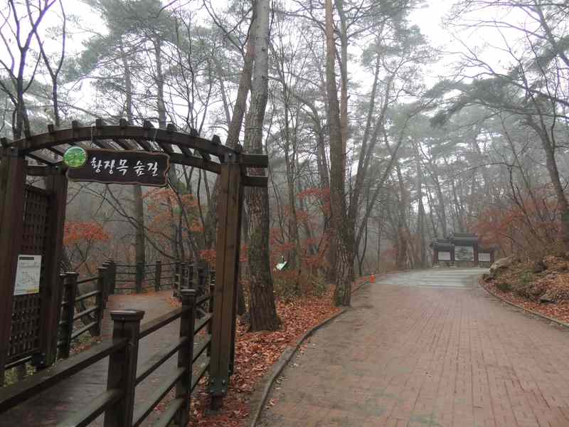 원주 구룡사 원주 구룡사