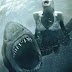New Movie trailer;Shark Night 3D