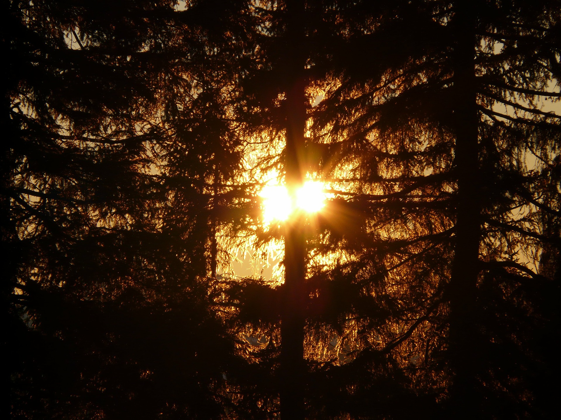 Samhain in the Southern Hemisphere