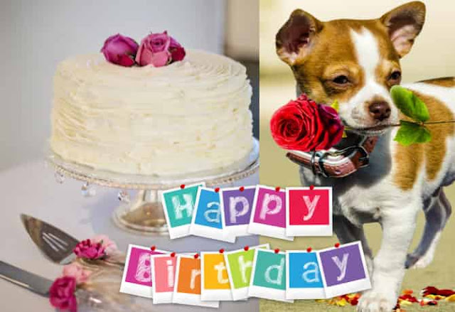 Happy birthday images for him love Happy birthday images for him love