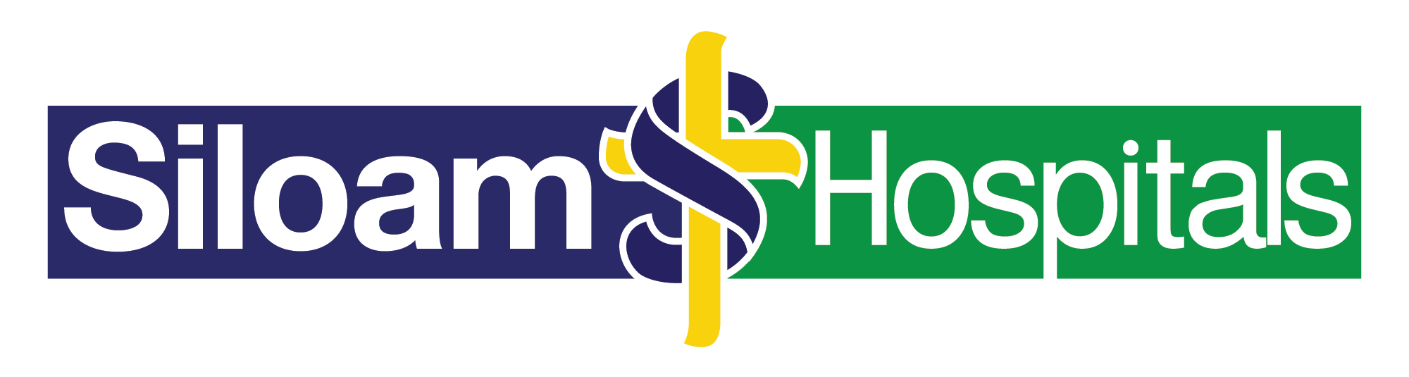 Download Logo RS Siloam Vektor AI Masvian