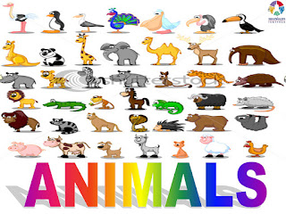 LMH 2.ziklo - Science -Begoñazpi ikastola-: ANIMALS LMH 4