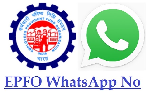 Good News for EPF/ EPS 95 Pension Member: बिना घर से निकलें घर बैठे होंगे सभी काम EPFO ने जारी किया WhatsApp नंबर