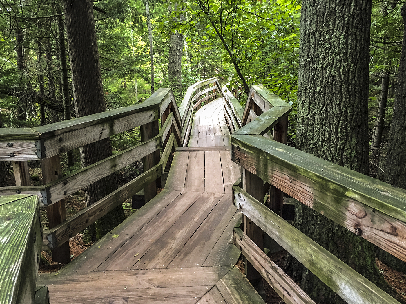 Boardwalk to Brownstone Falls and Tyler Forks on the Doughboy's Trail - Copper Falls State Park