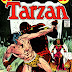 Tarzan #217 - Joe Kubert art & cover 
