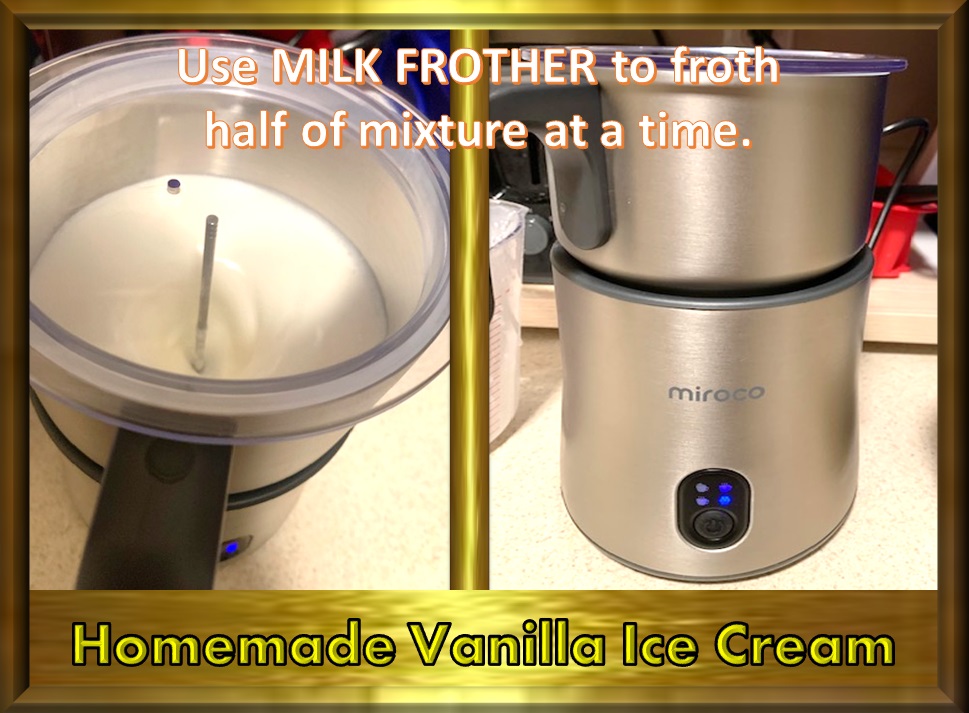 Animal, Nature, and Travel Tastebud Journey Homemade Vanilla Ice