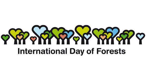 International Day of Forests Wishes Pics