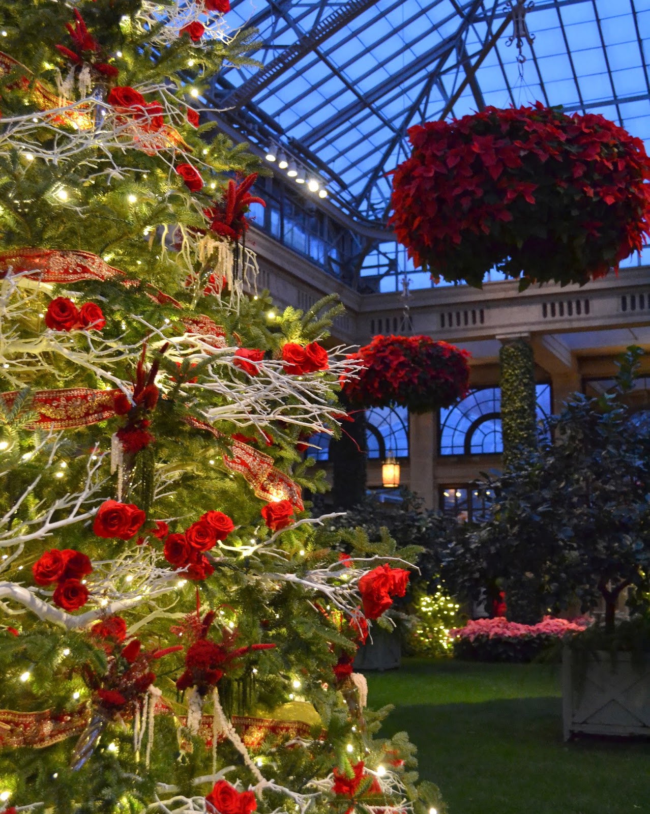 My Paisley World A Stunning Christmas at Longwood Gardens