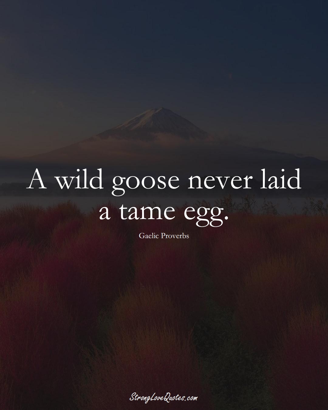 A wild goose never laid a tame egg. (Gaelic Sayings);  #aVarietyofCulturesSayings