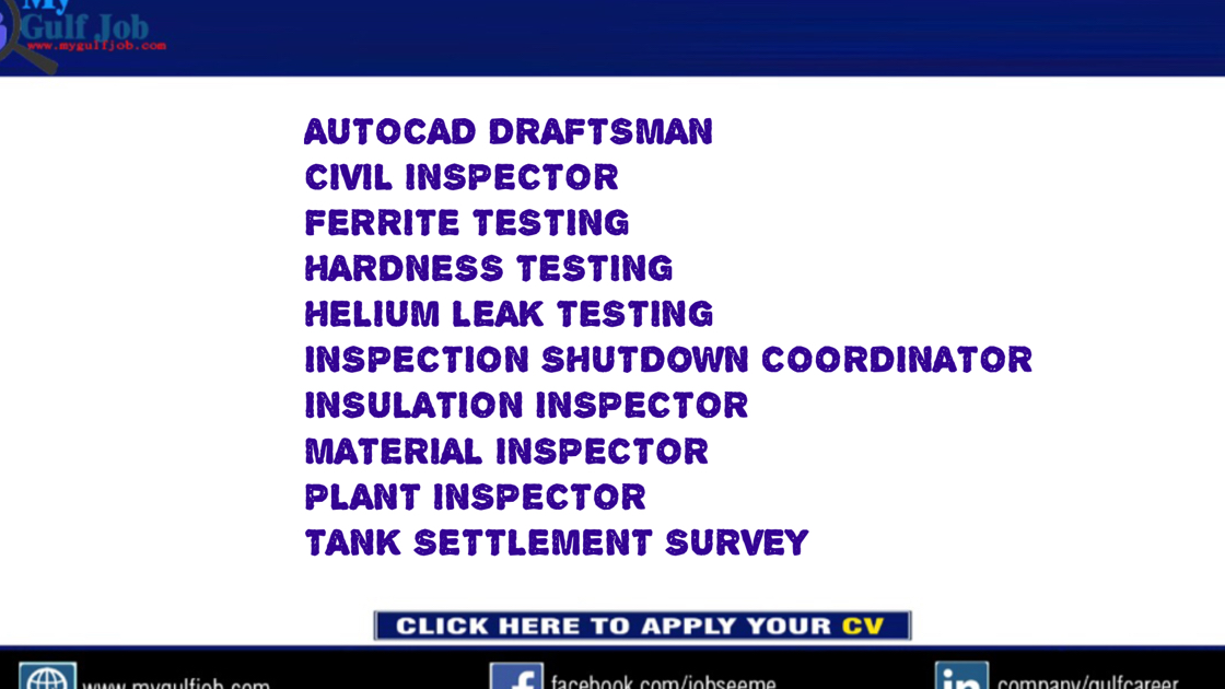 PLANT INSPECTOR CIVIL INSPECTOR INSULATION INSPECTOR AUTOCAD DRAFTSMAN