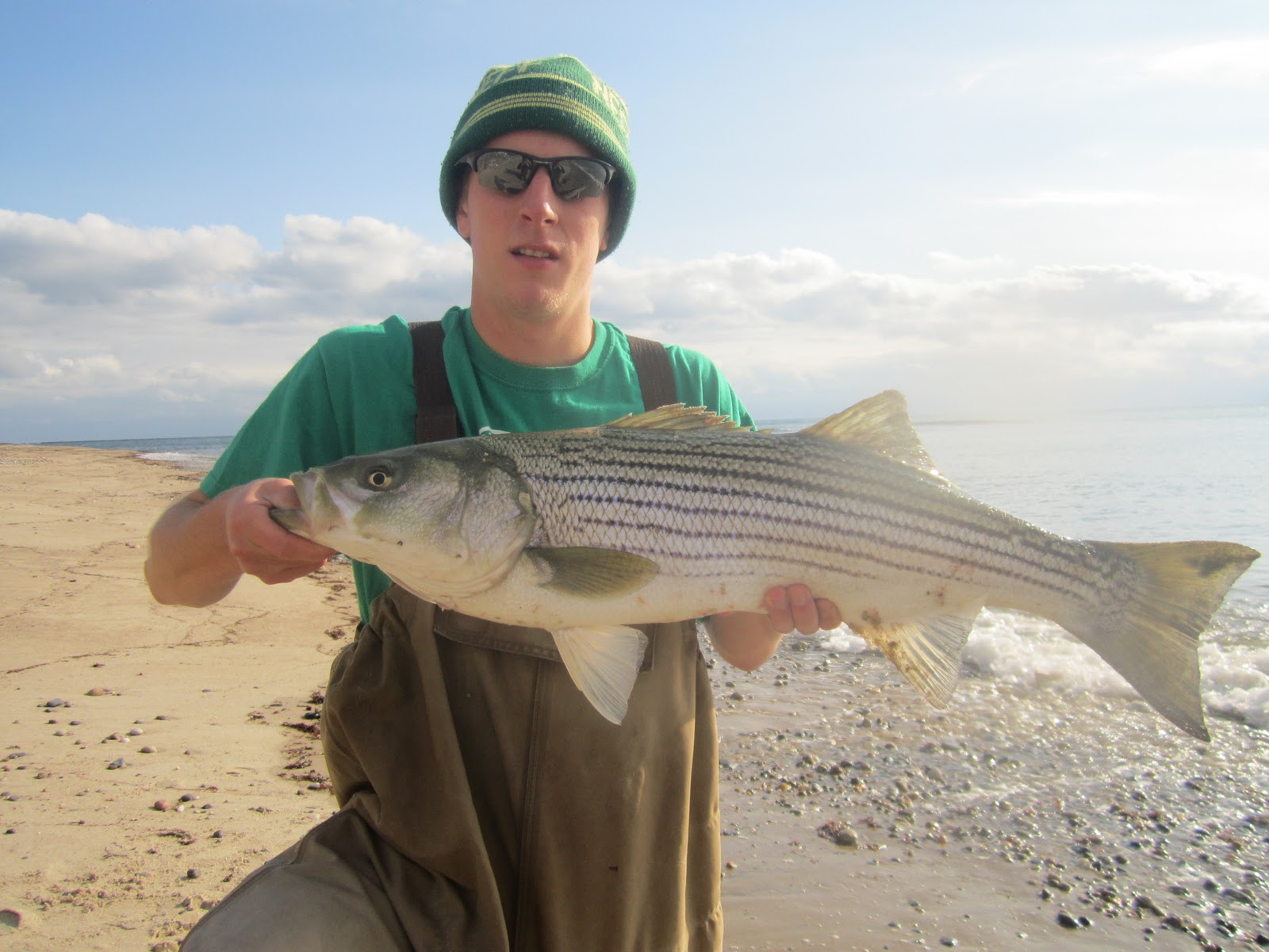 Rhode Island Striped Bass Best Big Fish Day in Years!