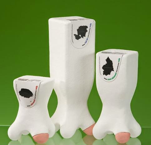 Κουτιά φρέσκου γάλακτος με τέχνη