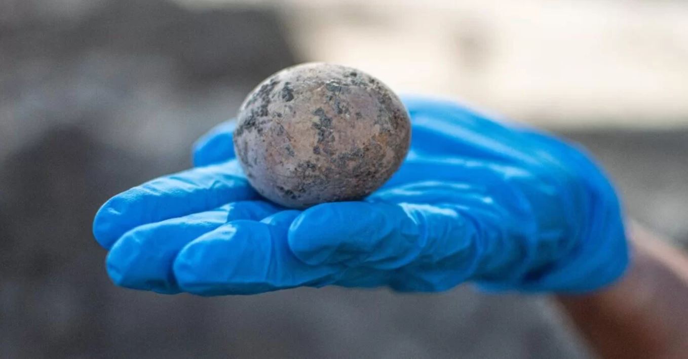 İsrailli arkeologlar yaklaşık 1000 yıllık tavuk yumurtası keşfettiler. Hassas 1000 yıllık yumurta laboratuvarda yanlışlıkla kırıldı.