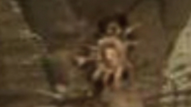 This proves that life on Mars exists because of this Crab creature.