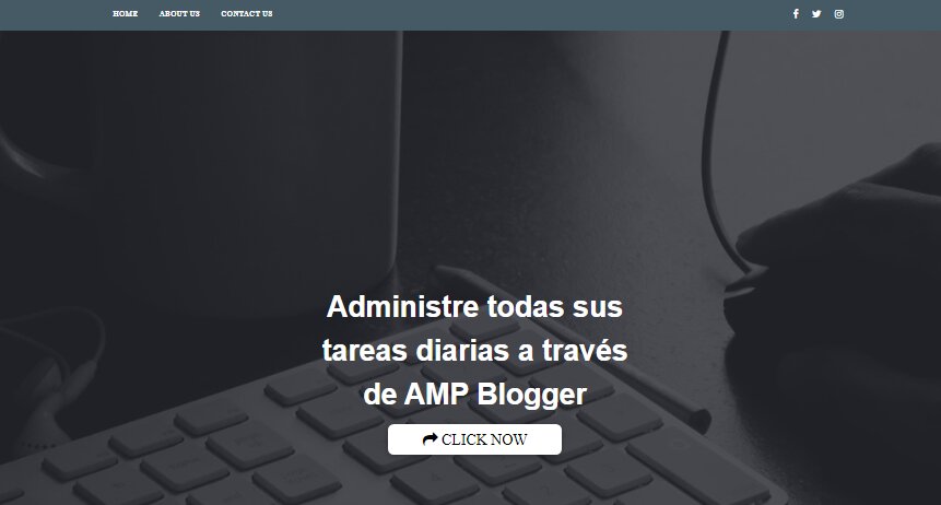 AMP Daily Blogger Template