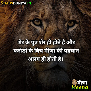 Meena Attitude Shayari Status In Hindi 2022