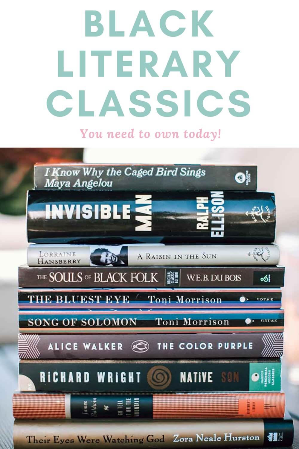 Black Literary Classics You Should Have on Your Bookshelf