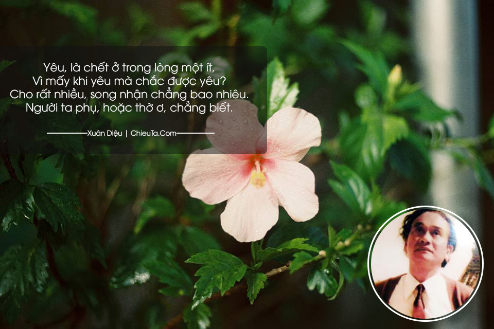 Nhà Thơ Xuân Diệu Và Tập 15 Bài Thơ Tình Buồn Bã & Tâm Trạng
