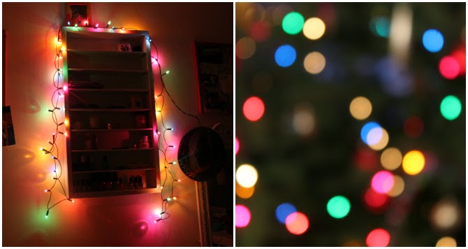 3 x je kamer herfst/winter proof