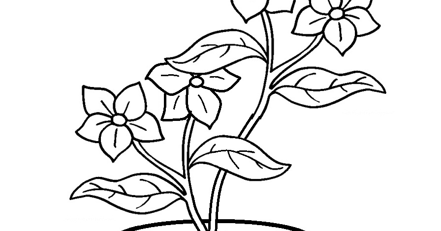 +52 Sketsa Gambar Pot Dan Bunga | Gudangsket