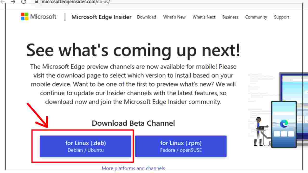 Install Edge browser via Graphical/GUI on Ubuntu 20.04