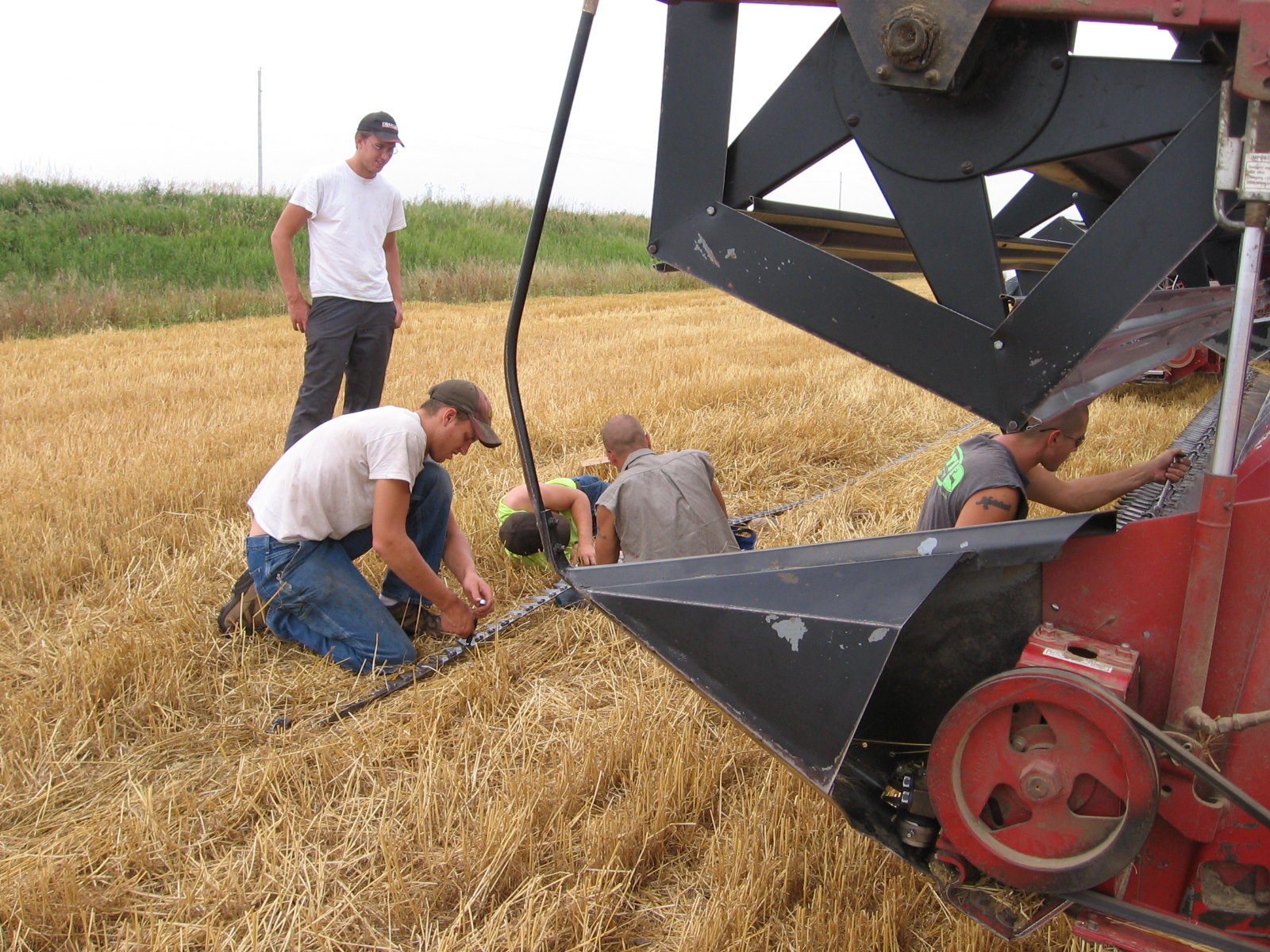 On the Road with Melchert Harvesting