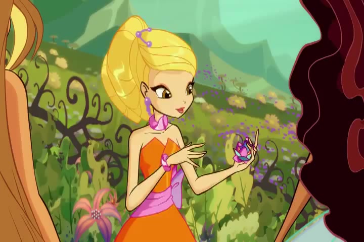 Цветок стелла Цветок стелла