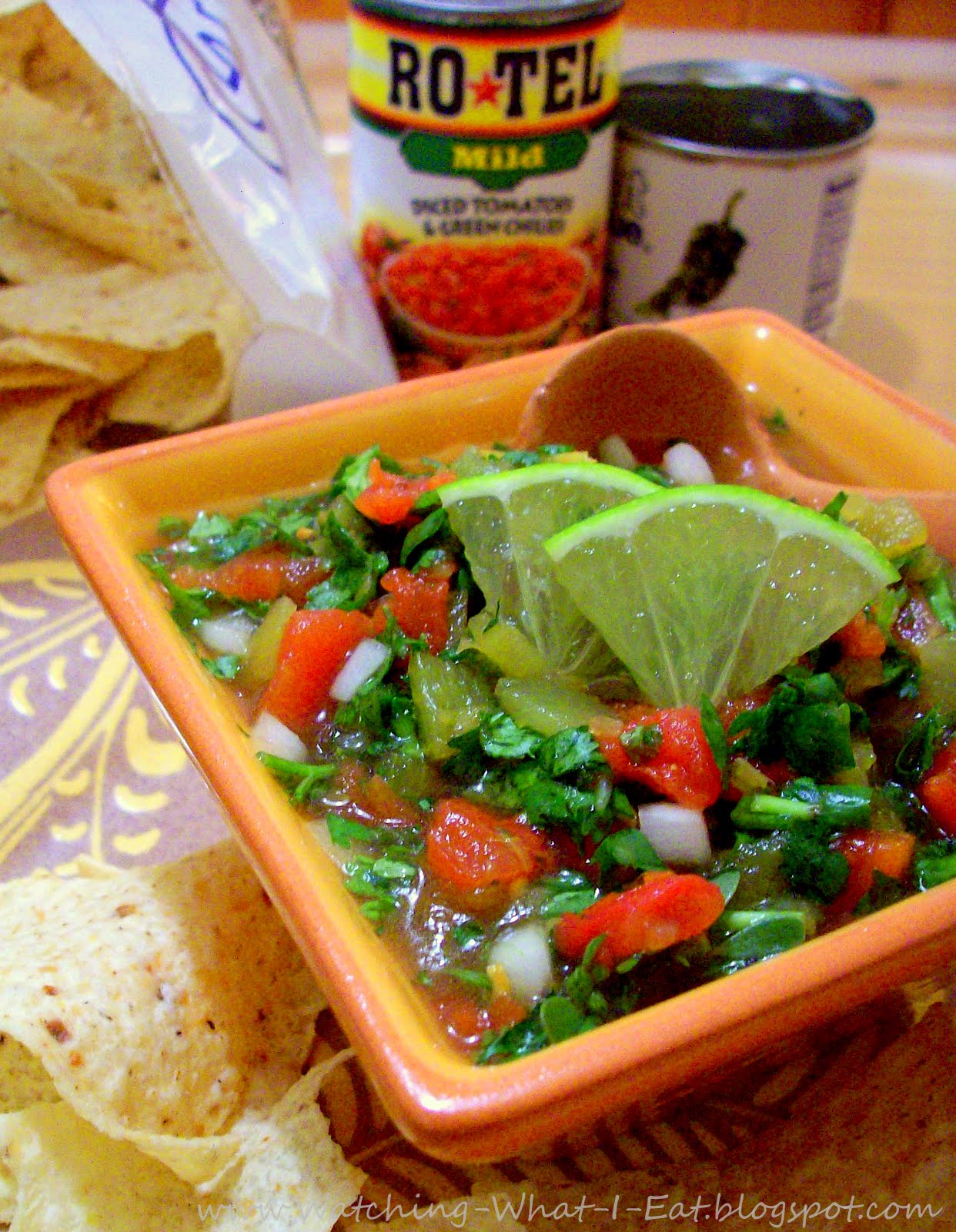 Watching What I Eat JR's TexMex RO*TEL Salsa