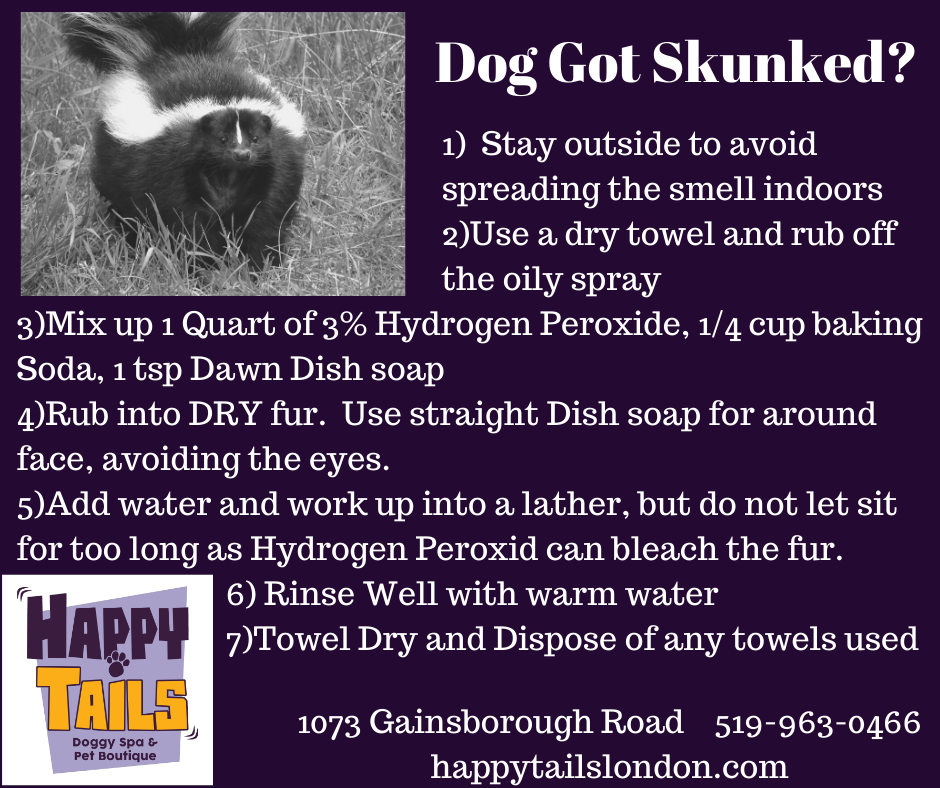 Happy Tails London Skunks and Bugs