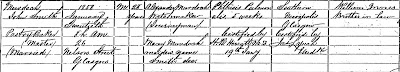 Burgh of Glasgow, Scotland, "Statutory Deaths," 1858 Deaths in the Central District, p. 38, John Smith Murdoch; digital image, General Register Office for Scotland, ScotlandsPeople (www.scotlandspeople.gov.uk: 20 Jun 2009).