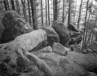 © Phil Rogers Dundee, Wista DX, Schneider 90mm Angulon