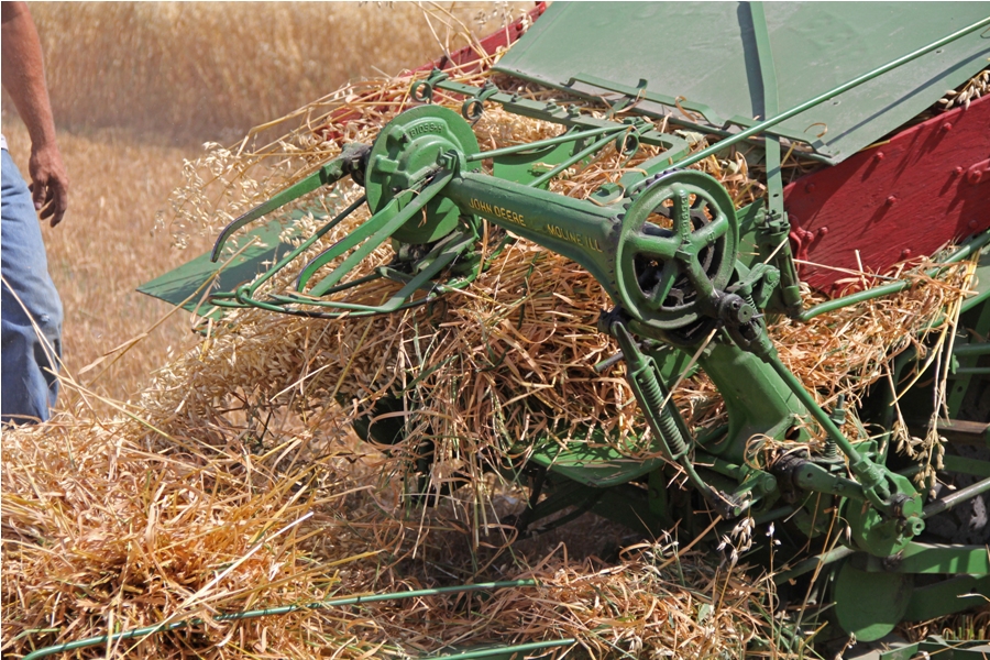 PRO LEISURE CIRCUIT TIRED IRON CLUB BINDING OATS