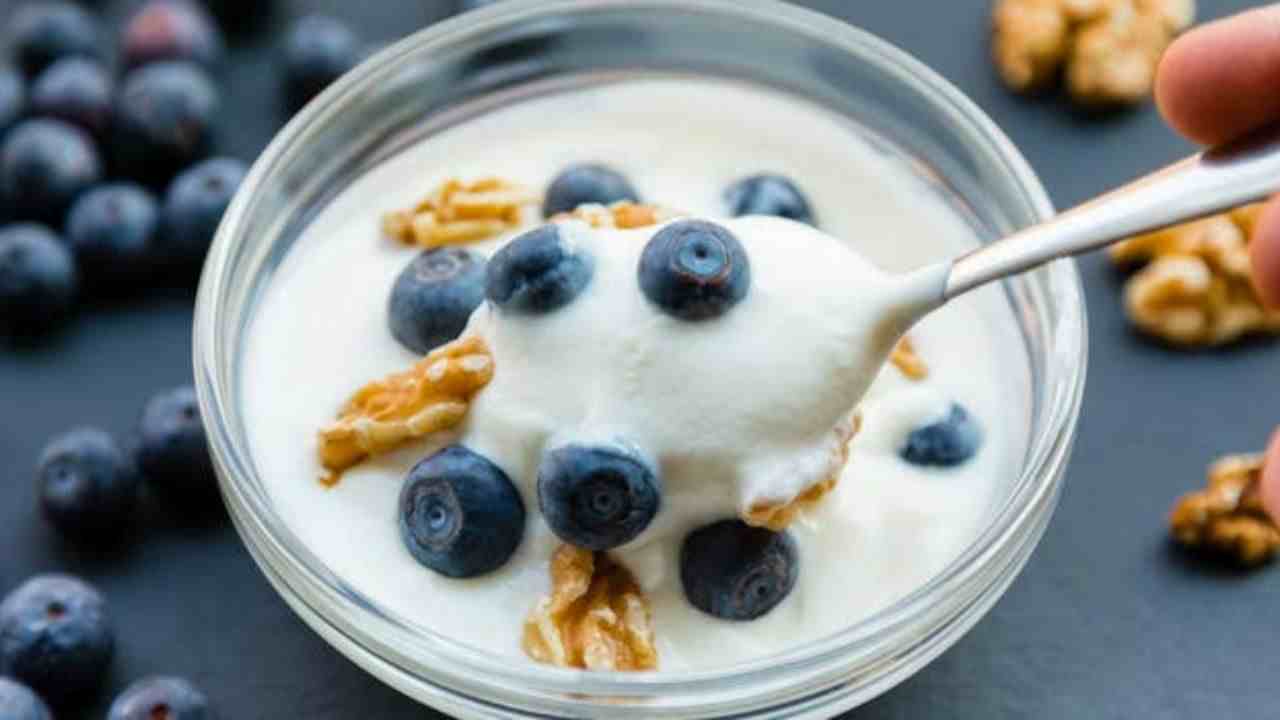 Greek Yogurt Greek Yogurt