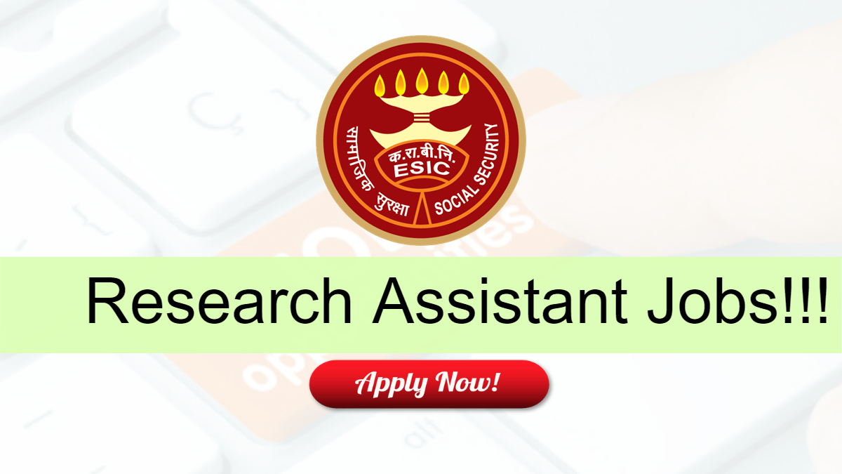 research assistant jobs in south africa