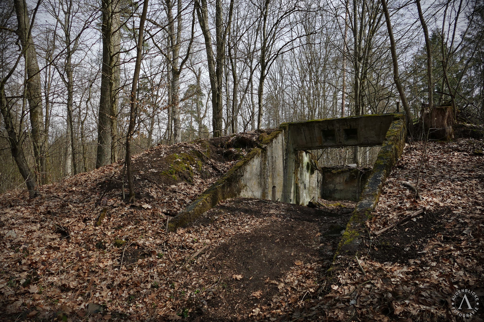 Augenblicke Fotografie Die MUNA Breitengüßbach