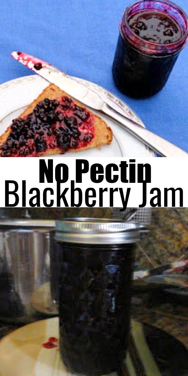 Blackberry Jam without Pectin Serena Bakes Simply From Scratch