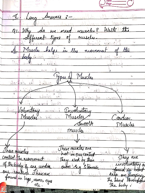 Army public school summer vacation homework picture