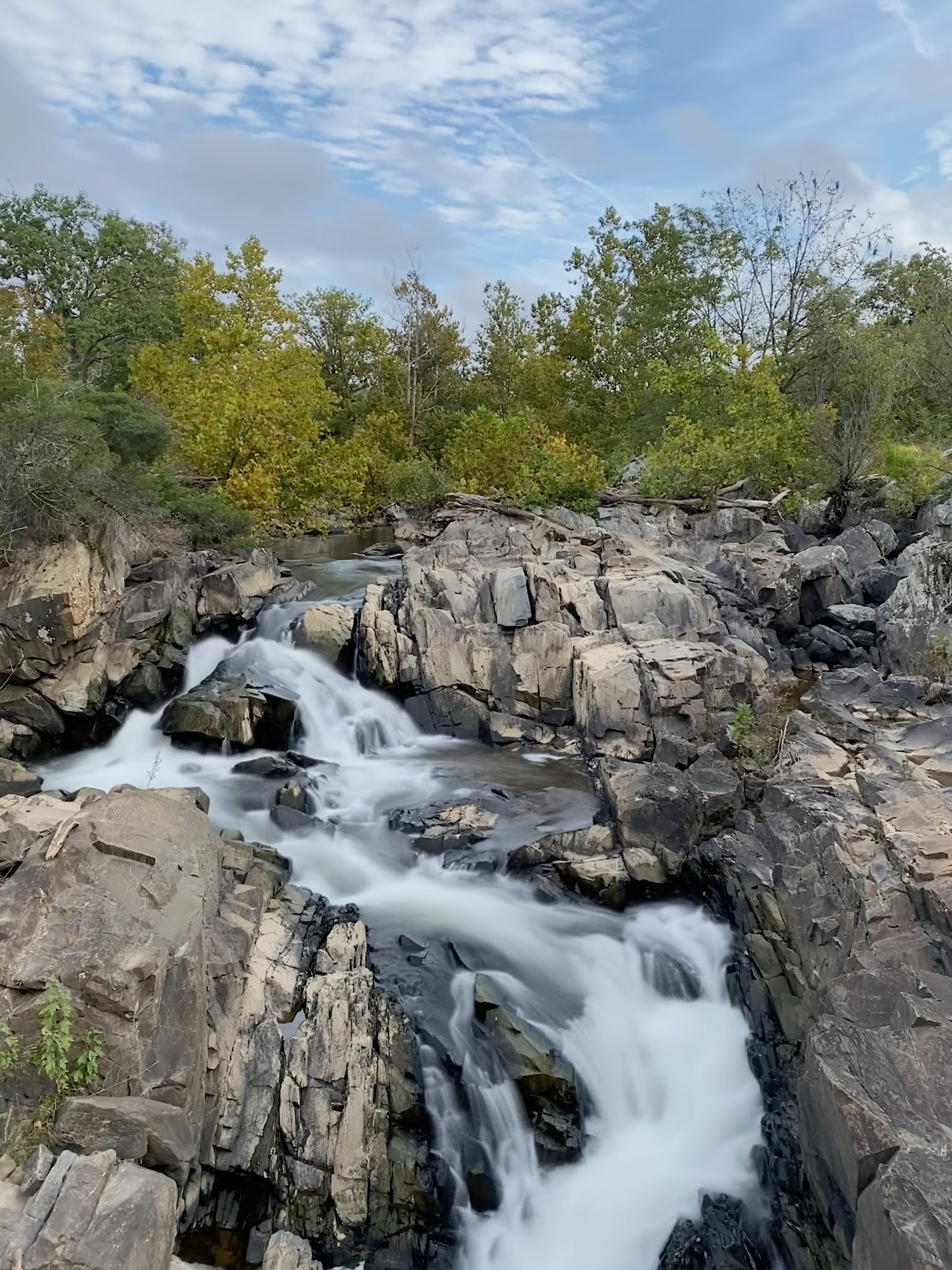 The Adventures of Bushwhack Jack: Paradise Falls and Upper Sols