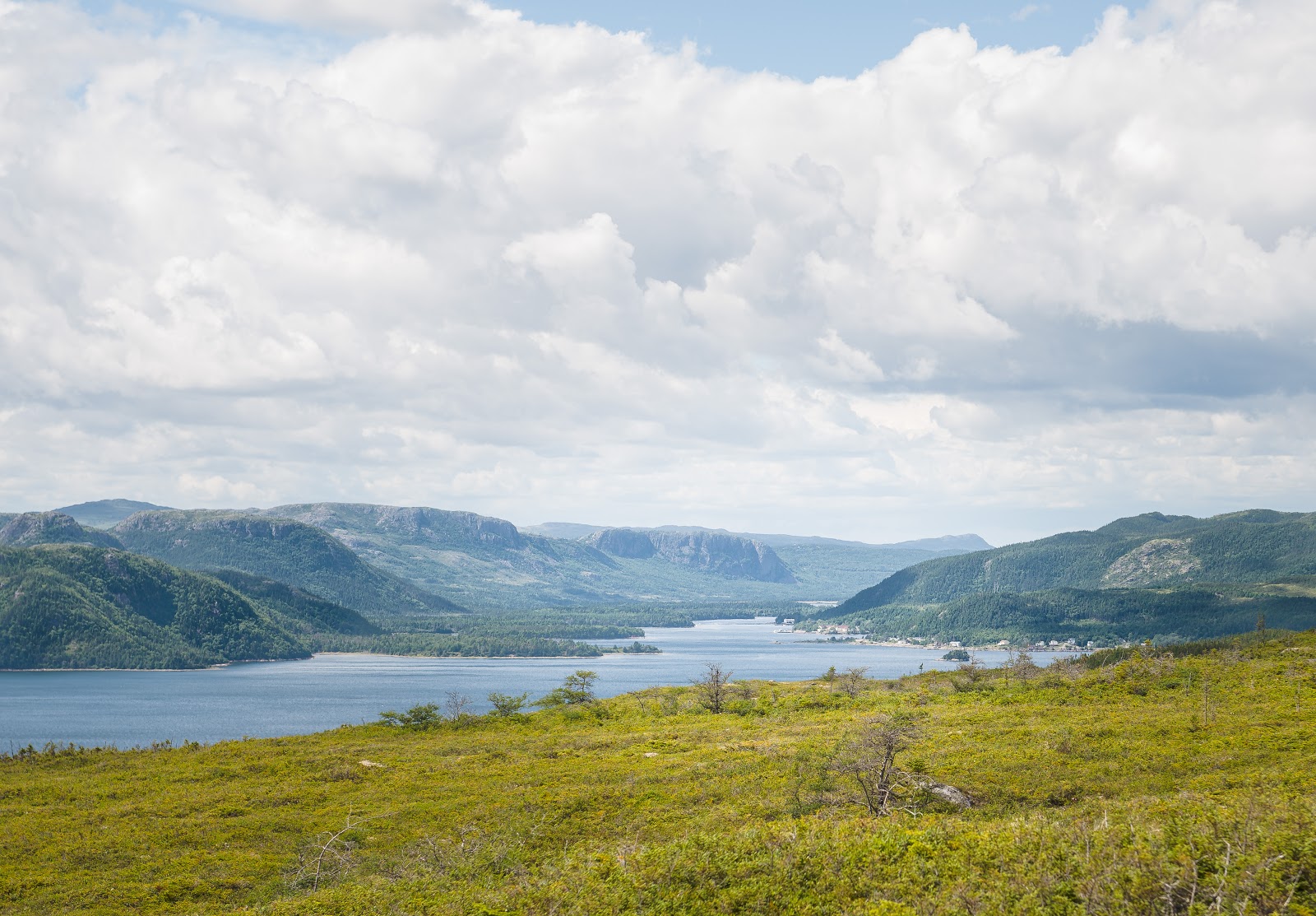 Some Newfoundland Walks Garden Cove Trails