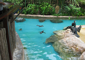 Jax Stumpes: Singapore Jurong Bird Park (9/9/2012)