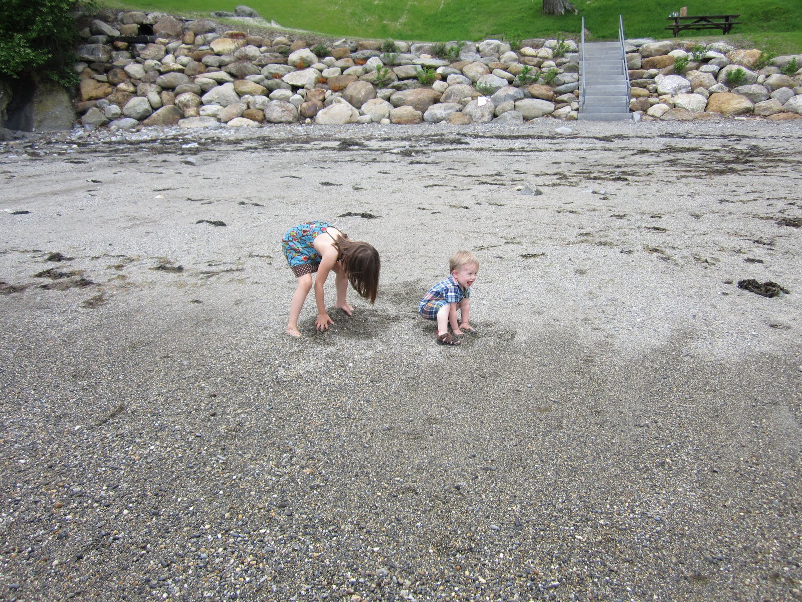 Maineiacs Henry's Handbook for throwing rocks