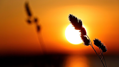 HD wallpaper Beautiful sunset