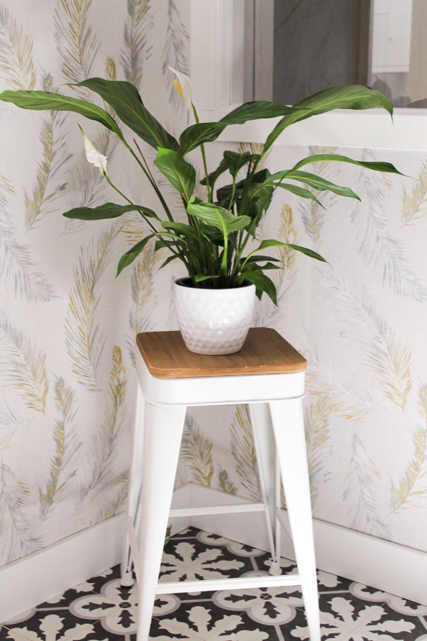 Decoracion de interiores