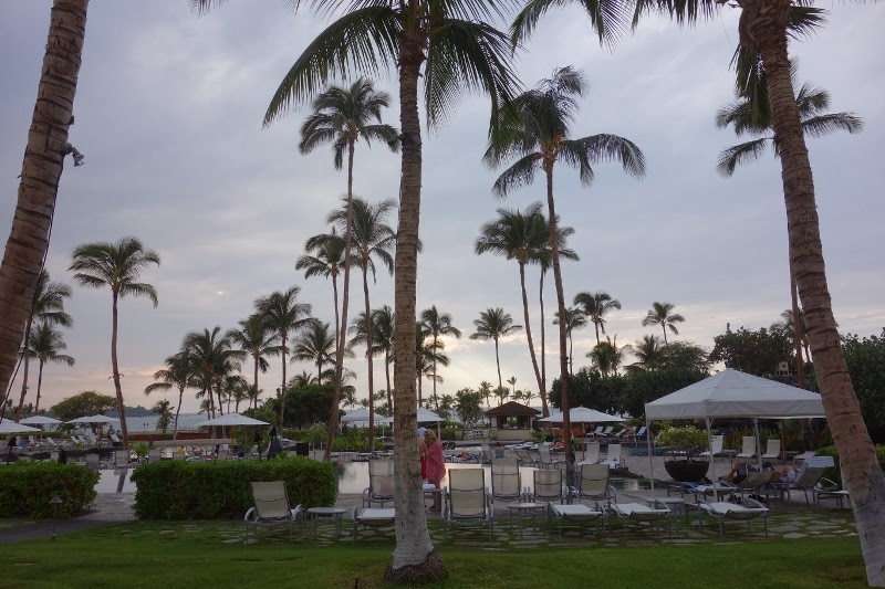 Fumbling For My Camera Sunset Luau At The Waikoloa Beach Marriott Sunset Luau At The Waikoloa Beach Marriot Island Hawaii Open Bar A Beautiful Great Food And Entertainment What S Not To Like