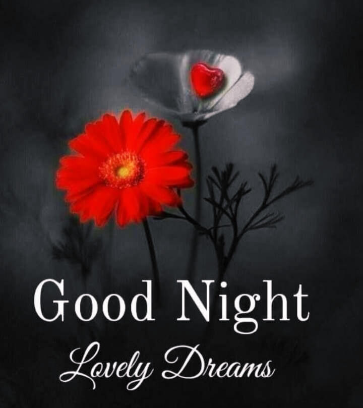 Latest Good Night Images Download For Whatsapp || Good Night Images For ...
