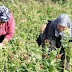 Η Ελληνίδα Αγρότισσα και οι πολιτικές για την ενίσχυση της θέσης της στην ύπαιθρο