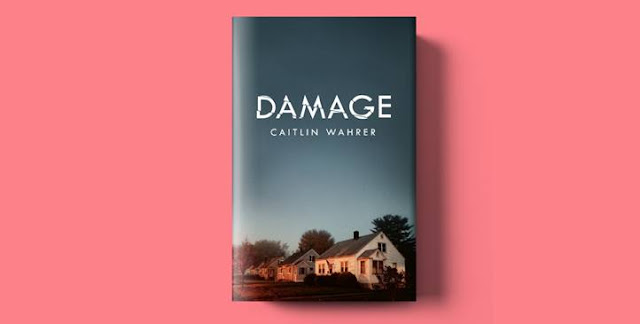 damage-caitlin-wahrer