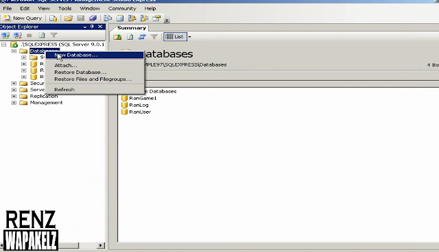 ran online private server sql injection ran online private server sql injection