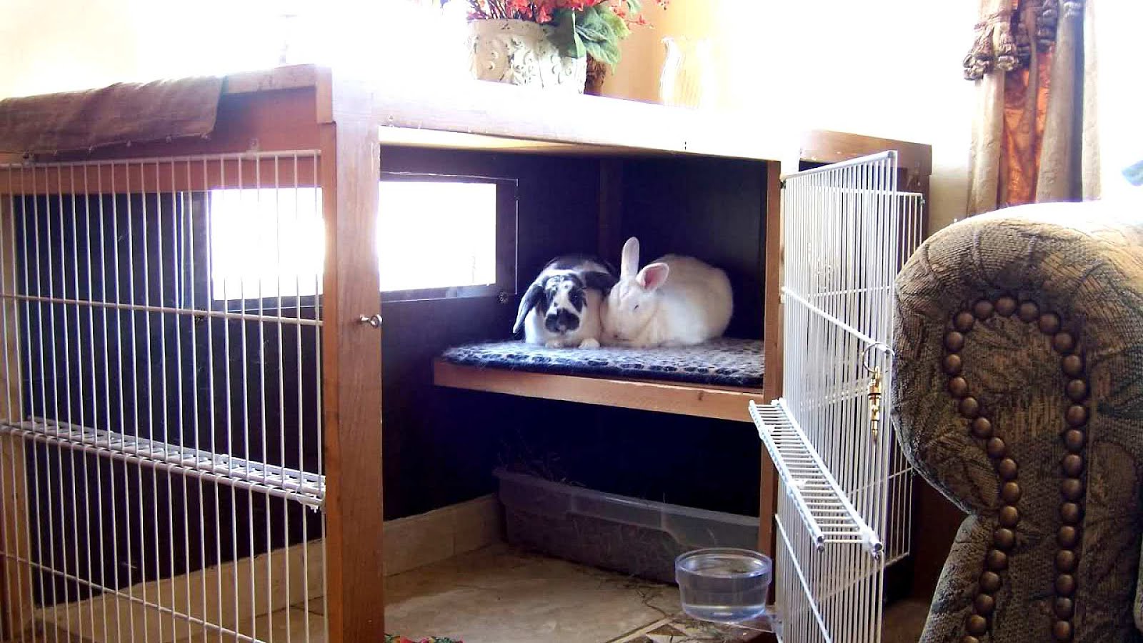 Easy Diy Rabbit Hutch DIY Choices